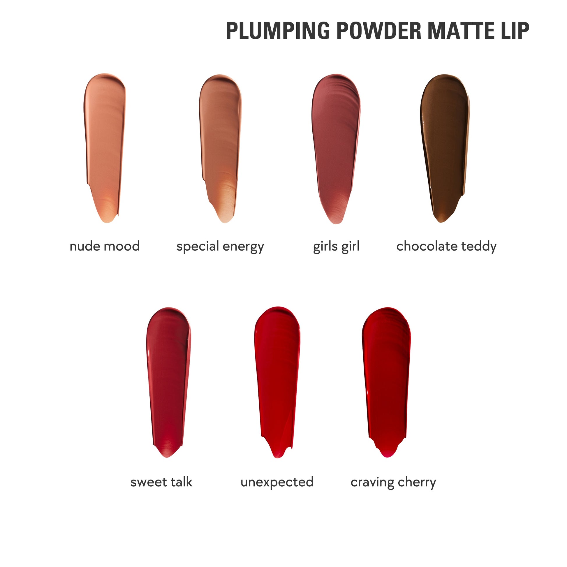 Plumping Powder Matte Lip Bundle
